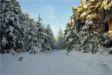 传闻：疑似《对马岛之鬼》壹岐岛内容泄露